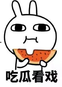 吃瓜娱乐间小刀,吃瓜娱乐间幕后故事大曝光