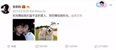 娱乐吃瓜酱遗憾,揭秘娱乐圈背后的心酸故事  第2张